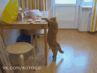 Забавные анимашки 22 Забавные анимашки 22