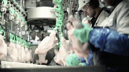 Забавные анимашки 24 Забавные анимашки 24