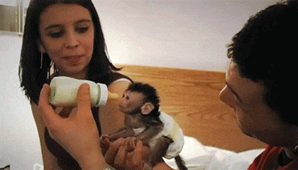 Забавные анимашки 24 6 Забавные анимашки 24