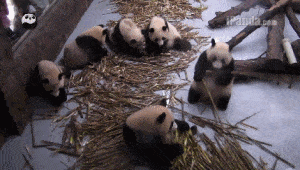 Забавные анимашки 25 Забавные анимашки 25