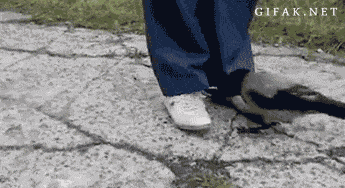 Забавные анимашки 25 Забавные анимашки 25