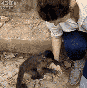 Забавные анимашки 25 Забавные анимашки 25