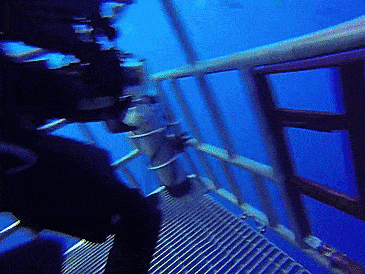 Забавные анимашки 25 Забавные анимашки 25