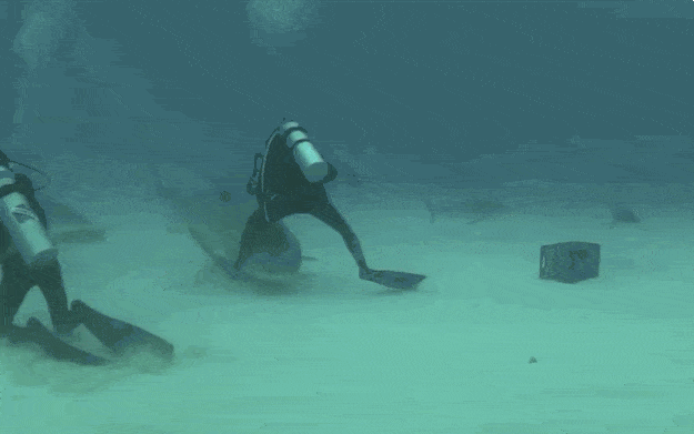 Забавные анимашки 25 Забавные анимашки 25