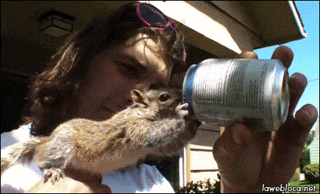 Забавные анимашки 26 Забавные анимашки 26