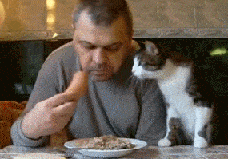 Забавные анимашки 26 Забавные анимашки 26