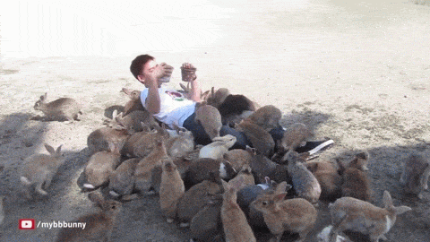 Забавные анимашки 27 Забавные анимашки 27