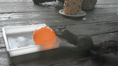 Забавные анимашки 28 Забавные анимашки 28