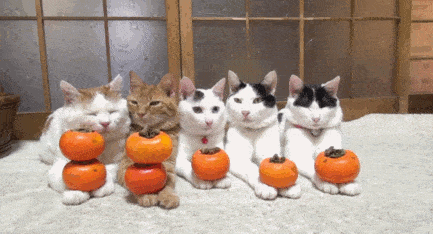 Забавные анимашки 28 Забавные анимашки 28