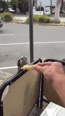 Забавные анимашки 29 Забавные анимашки 29