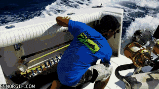 Забавные анимашки 29 Забавные анимашки 29