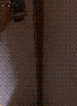 Забавные анимашки 31 Забавные анимашки 31