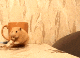 Забавные анимашки 31 Забавные анимашки 31