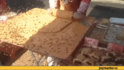 Забавные анимашки 33 6 Забавные анимашки 33