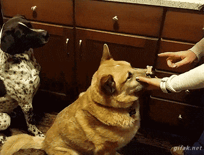 Забавные анимашки 33 Забавные анимашки 33