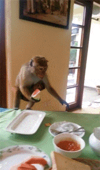 Забавные анимашки 33 Забавные анимашки 33