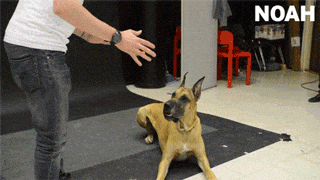 Забавные анимашки 34 Забавные анимашки 34