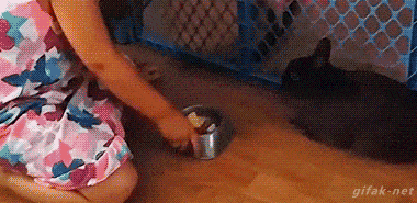 Забавные анимашки 34 Забавные анимашки 34