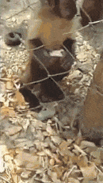 Забавные анимашки 34 Забавные анимашки 34