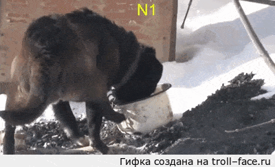 Забавные анимашки 35 Забавные анимашки 35