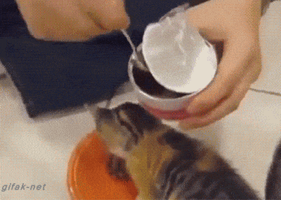 Забавные анимашки 35 Забавные анимашки 35