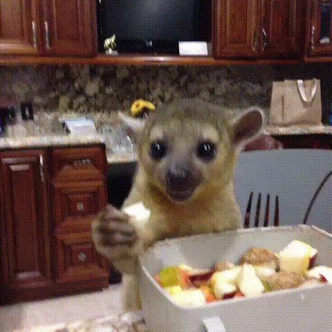 Забавные анимашки 35 Забавные анимашки 35