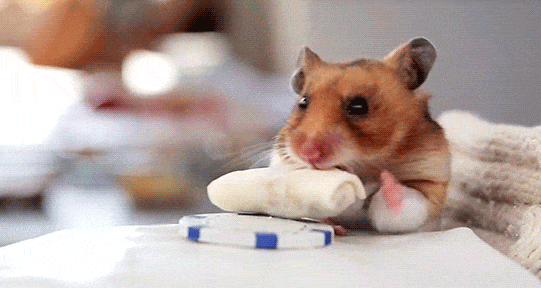 Забавные анимашки 37 Забавные анимашки 37