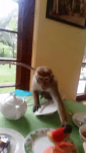 Забавные анимашки 37 Забавные анимашки 37