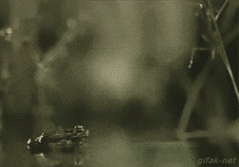 Забавные анимашки 40 Забавные анимашки 40