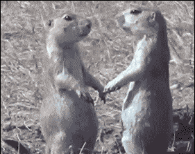 Забавные анимашки 41 Забавные анимашки 41