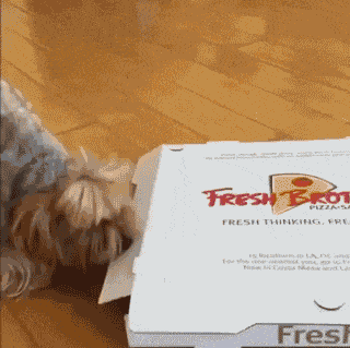 Забавные анимашки 41 Забавные анимашки 41