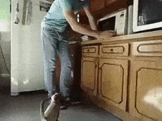 Забавные анимашки 42 Забавные анимашки 42