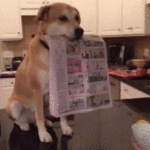 Забавные анимашки 42 5 Забавные анимашки 42