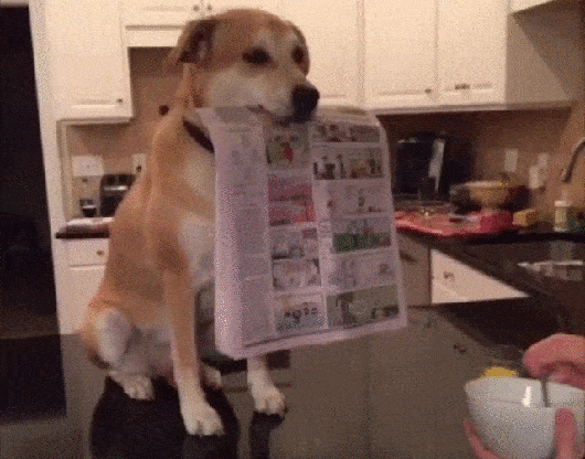 Забавные анимашки 42 8 Забавные анимашки 42